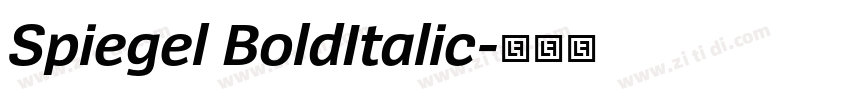 Spiegel BoldItalic字体转换